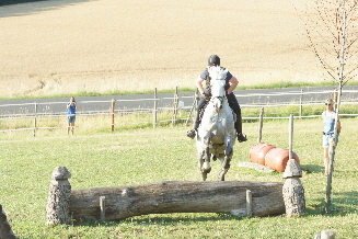 Baumstamm mit Pilze