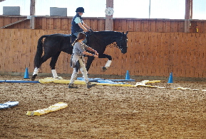 Don_X reiten