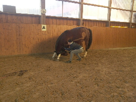 Ellen und Desty in der Dehnung