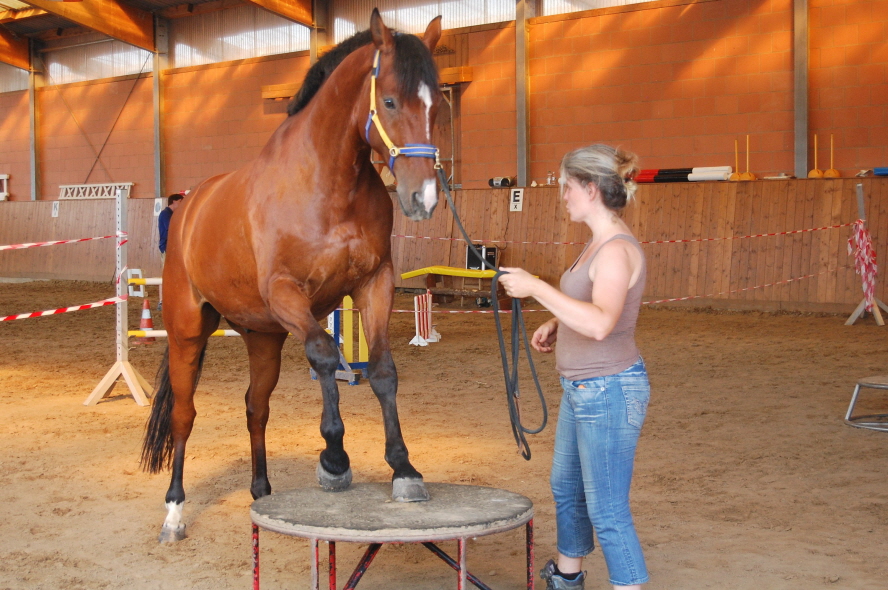 Daddy konzentriert am Podest