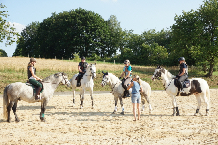 Abfrage der Ausbildungsstnde von Reiter und Pferd