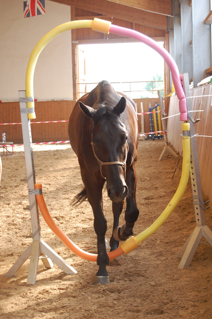 Da gehe ich doch locker durch!