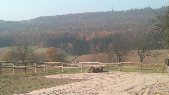 Daddy beim Wohlfhwlzen im neuen Sand 11112011