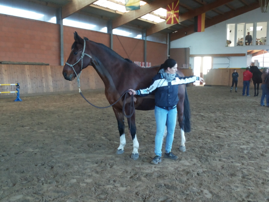 Desty und Ellem beim Biegen-1