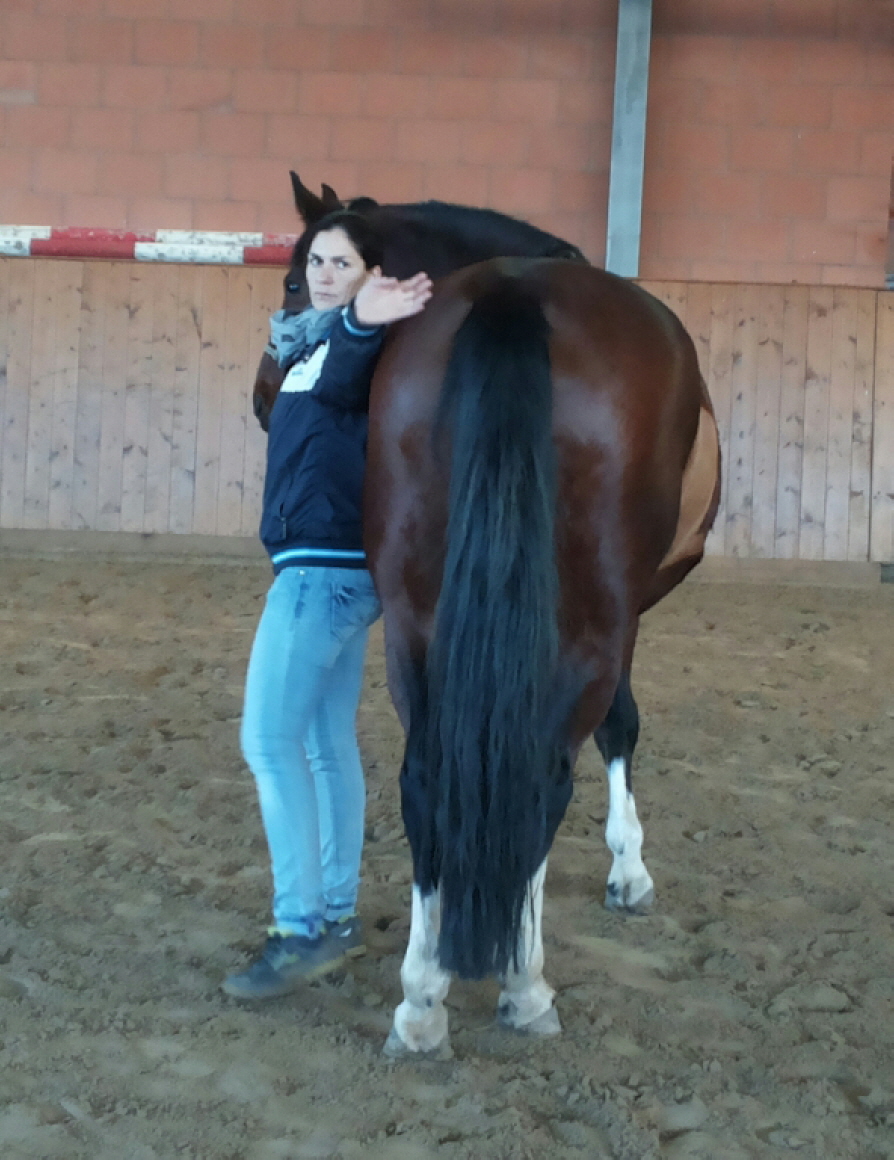 Desty und Ellem beim Biegen-2