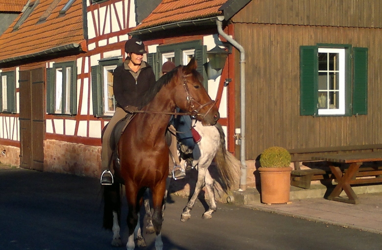 Desty und Ellen beim Herbstausritt vor dem Christinenhof 18.10.2011