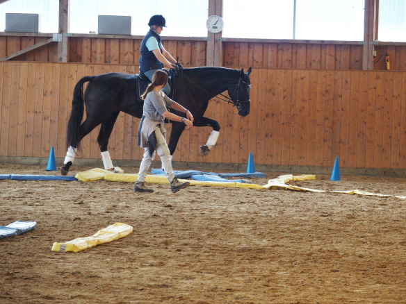 Don_X reiten