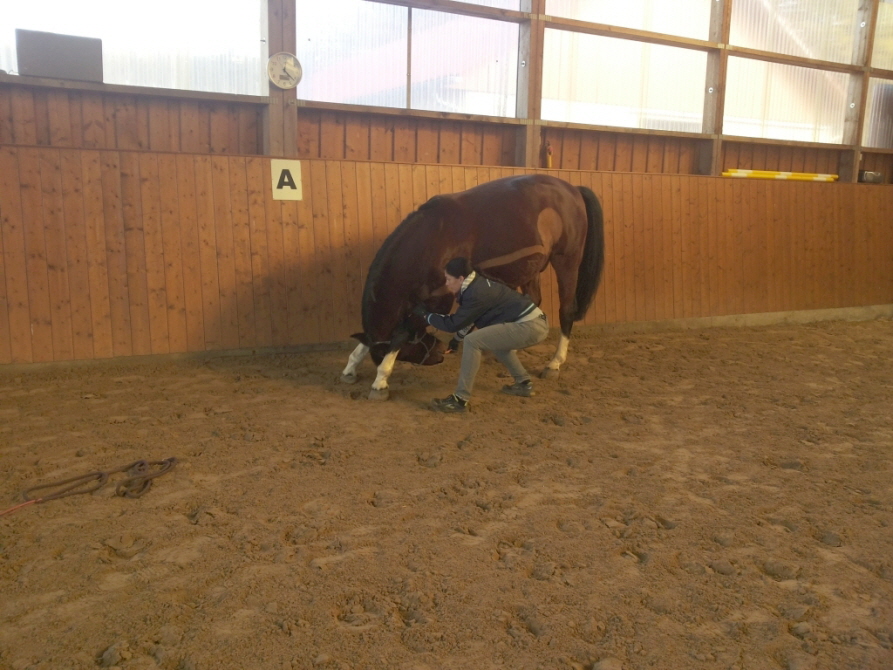 Ellen und Desty in der Dehnung