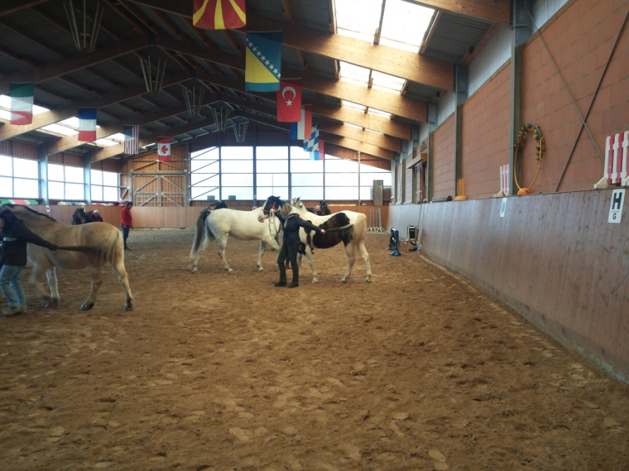 Geli und Pridy beim Biegen