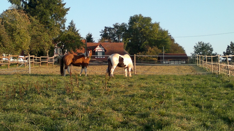 Indy und Shagenne in der Abendsonne
