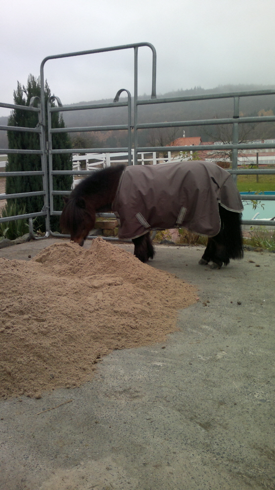 Jo begutachtet seinen neuen Sand 10112011