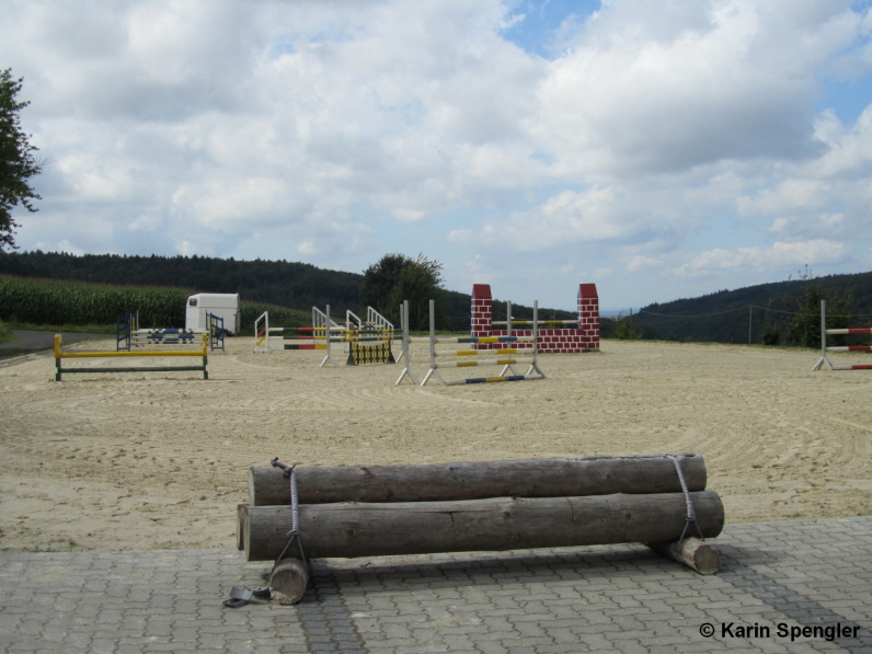 Kleiner Holzstapel-1