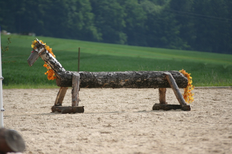 Lehrgang Volker Wenicker-4