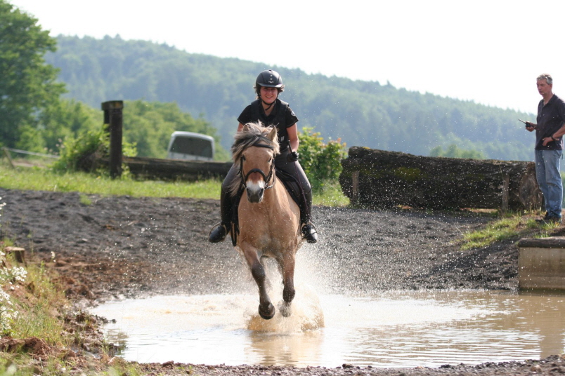 Lehrgang Volker Wenicker-5