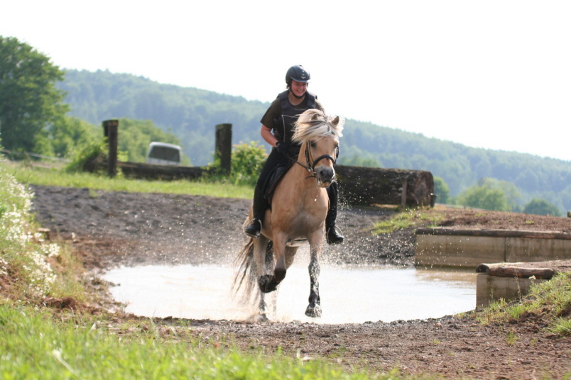 Lehrgang Volker Wenicker-6