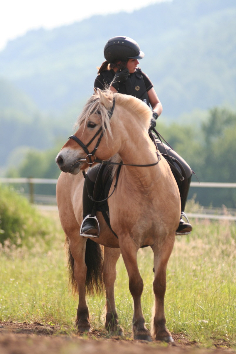 Lehrgang Volker Wenicker-7