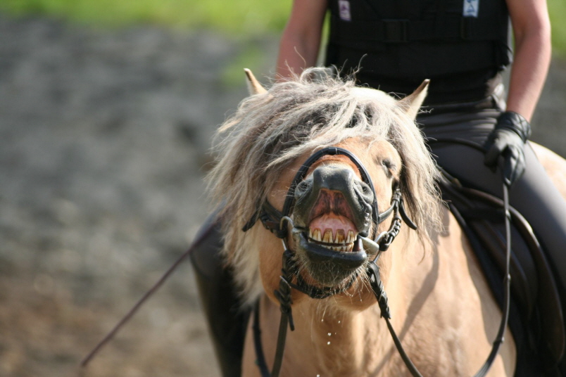 Lehrgang Volker Wenicker-9