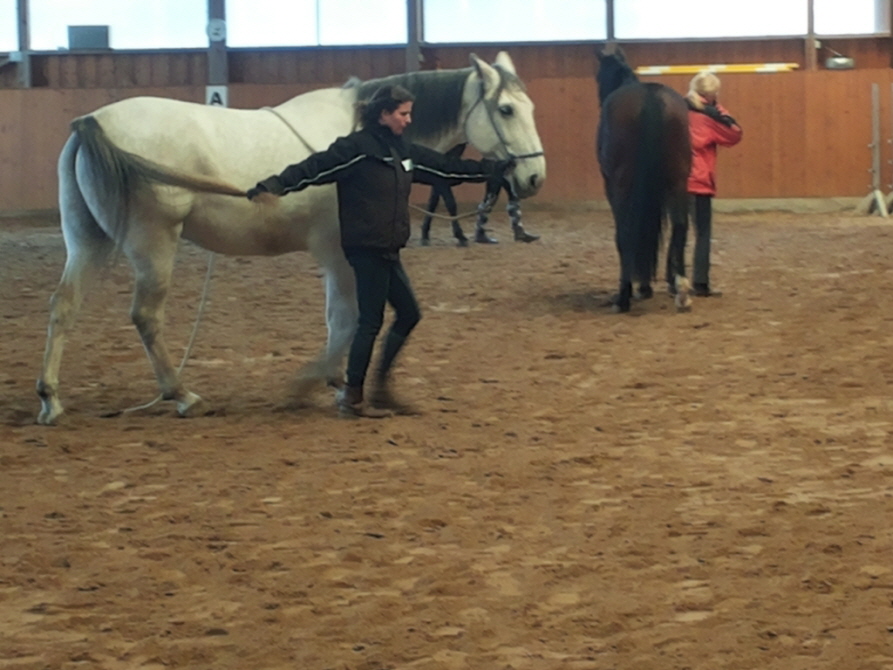 Nicola und Ramiro beim Biegen