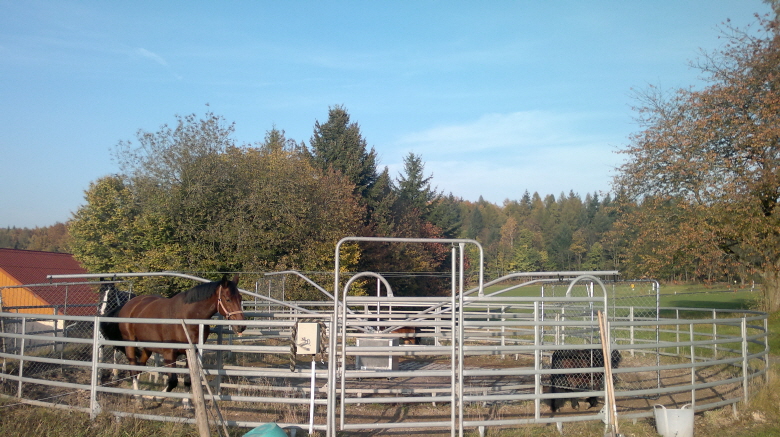 Ob Gro ob Klein hier passt jeder Rein