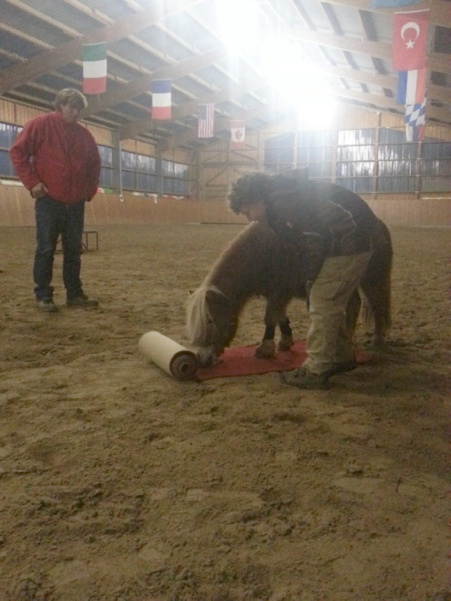 Philipp und Pauline beim Teppichrollen