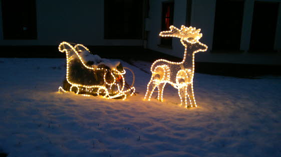 Rehntier bei Nacht uns Schnee 18122011