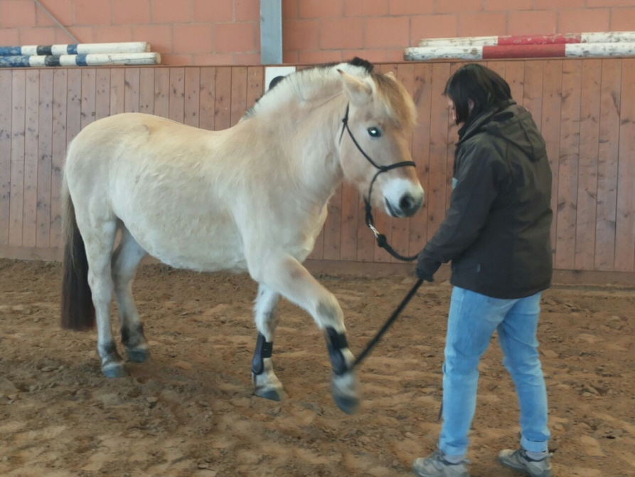 Susanne und Finn beim Dehnen