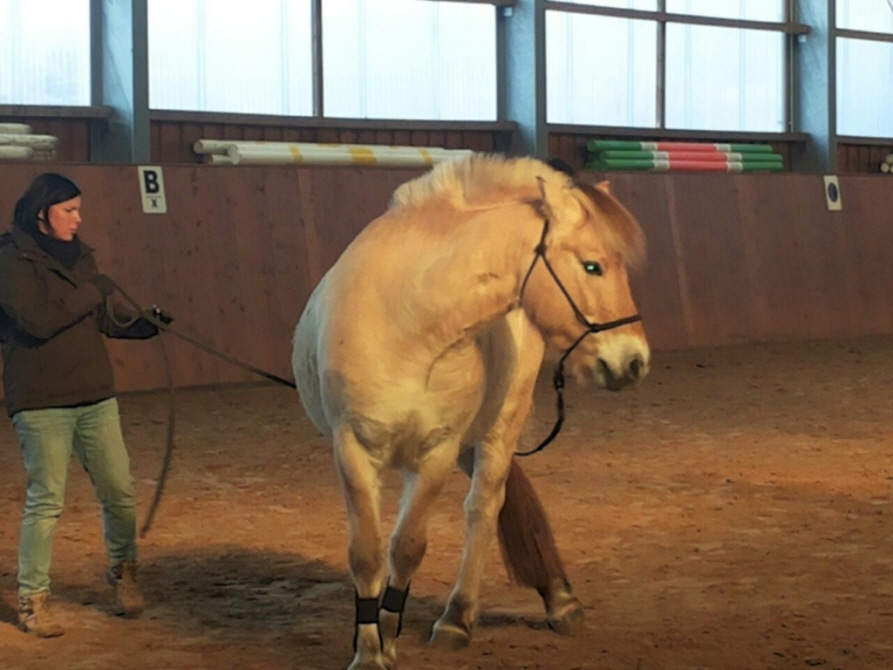 Susanne und Finn beim Tanzen
