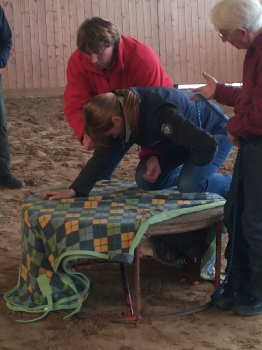 Trockenbung auf dem Podest