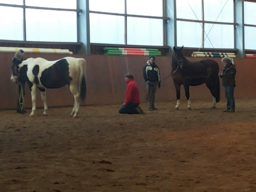 UWe beim Erklearen auf dem Boden