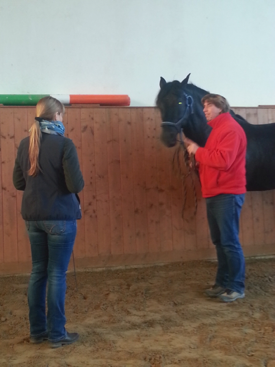 Uwe beim Erklearen mit Hengst Fraile