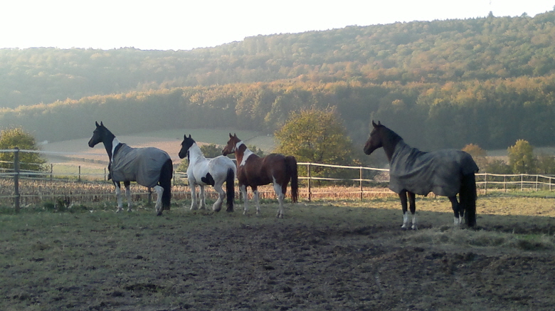 Welche eine Aussicht (1)