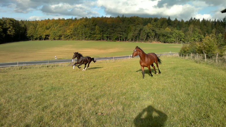 Whity und Daddy genieen die Freiheit