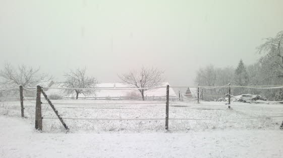 erster Schnee Reithalle 18122011