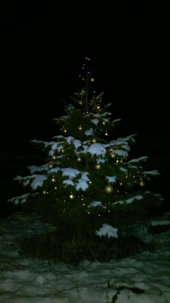 unser Weihnachtsbaum im Schnee 18122011
